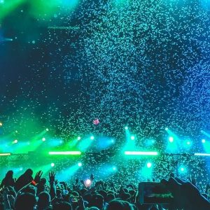 Mangrove Tunnel Kayak Eco  Tour