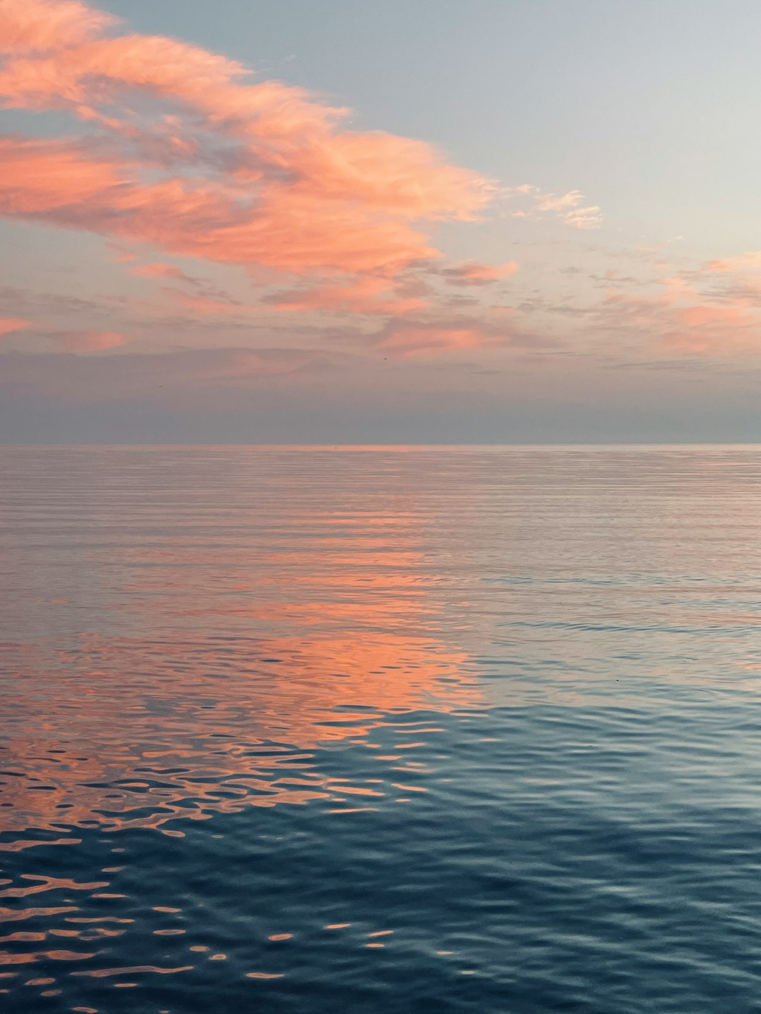 photo-1609524900838-8ce3d67288e5