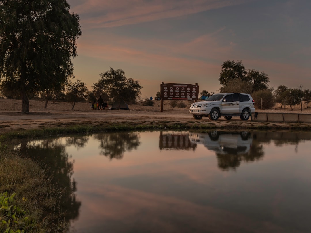 photo-1639390691944-c8a88754a195