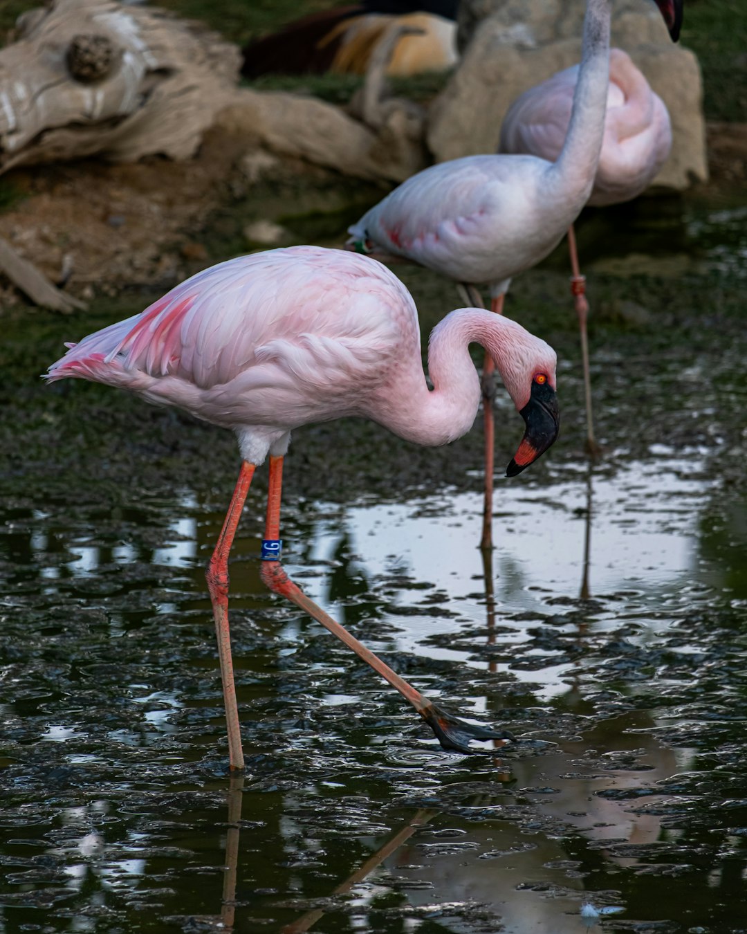 photo-1705768670157-c882888c5088