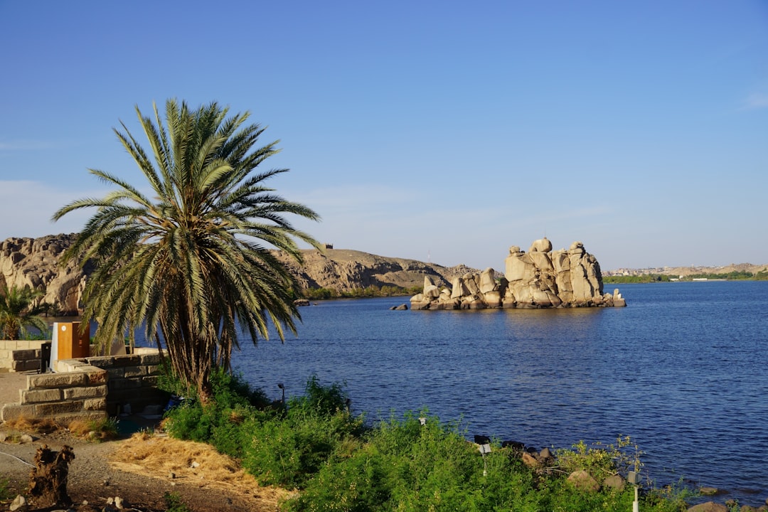 photo-1713077322562-785349ae4564